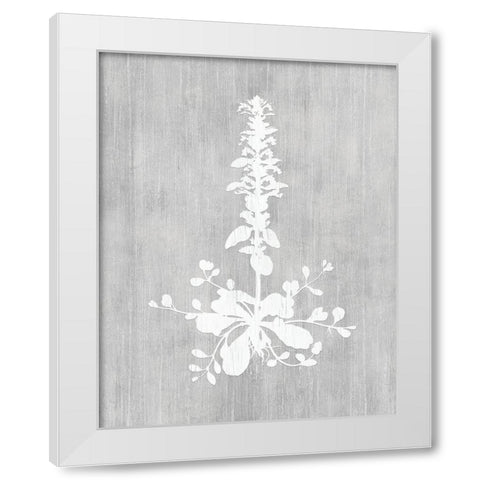 Botany Beauty II White Modern Wood Framed Art Print by CAD Designs
