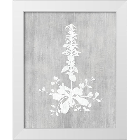 Botany Beauty II White Modern Wood Framed Art Print by CAD Designs
