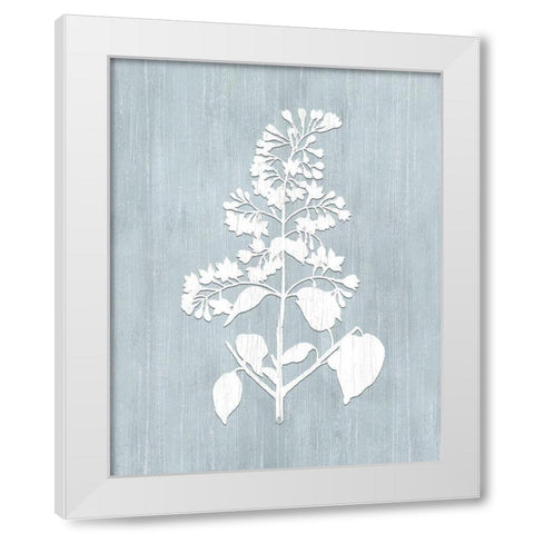 Botany Beauty IV White Modern Wood Framed Art Print by CAD Designs