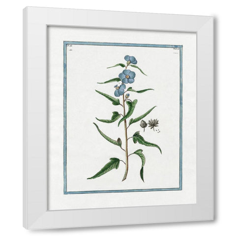 Shabby Chic Botanical I White Modern Wood Framed Art Print by Donovan, Kelly
