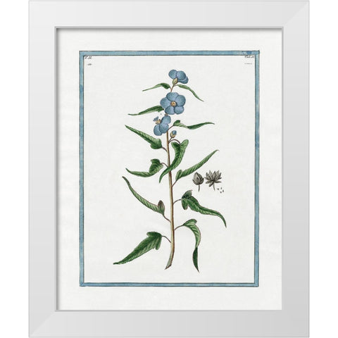 Shabby Chic Botanical I White Modern Wood Framed Art Print by Donovan, Kelly