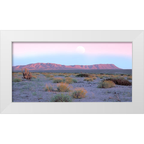 Vallenar Atacama Desert White Modern Wood Framed Art Print by Delimont, Danita