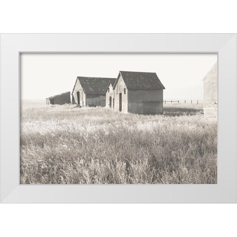 Neutral Barn White Modern Wood Framed Art Print by Robinson, Carol
