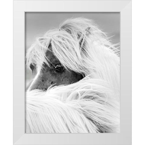 Island Pony II White Modern Wood Framed Art Print by Delimont, Danita