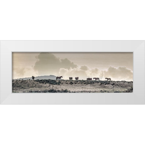 Wild Horse Ridge White Modern Wood Framed Art Print by Delimont, Danita