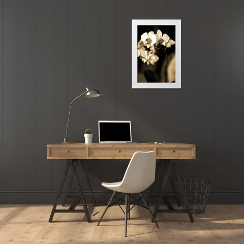 Exotic Blooms White Modern Wood Framed Art Print by Ryan, Cinzia