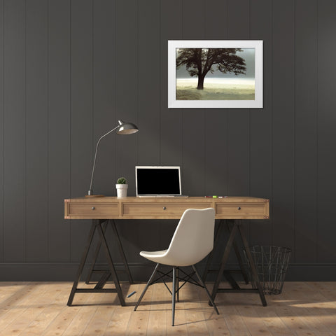 Enlighten Me White Modern Wood Framed Art Print by Frank, Assaf