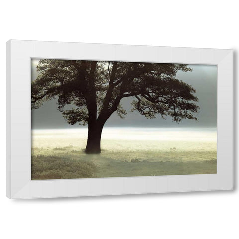 Enlighten Me White Modern Wood Framed Art Print by Frank, Assaf