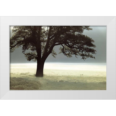 Enlighten Me White Modern Wood Framed Art Print by Frank, Assaf