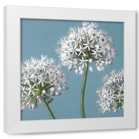 Bliss I White Modern Wood Framed Art Print by Frank, Assaf