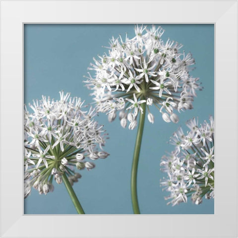 Bliss I White Modern Wood Framed Art Print by Frank, Assaf