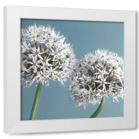 Bliss II White Modern Wood Framed Art Print by Frank, Assaf