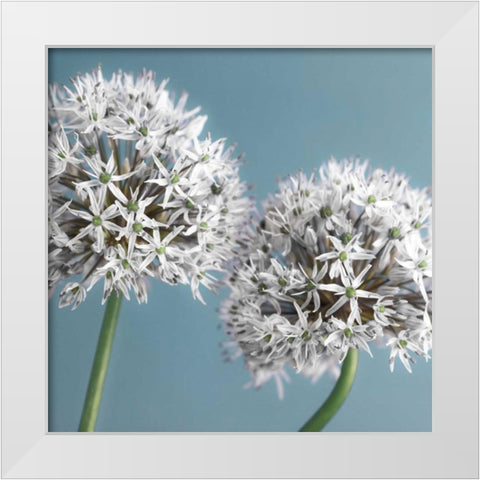 Bliss II White Modern Wood Framed Art Print by Frank, Assaf