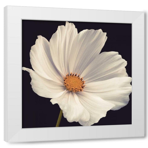 Cosmos I White Modern Wood Framed Art Print by Frank, Assaf