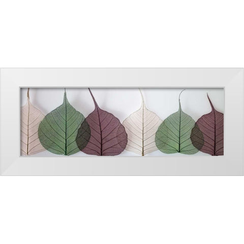 Leafy Address White Modern Wood Framed Art Print by Frank, Assaf