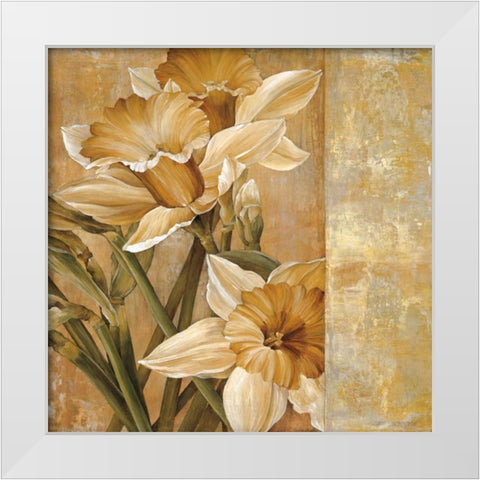 Champagne Daffodils I White Modern Wood Framed Art Print by Thompson, Linda