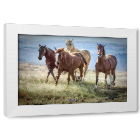 Morning Stroll White Modern Wood Framed Art Print by Caro, Wendy