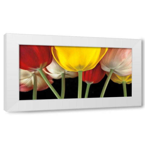 Sunshine Tulips White Modern Wood Framed Art Print by Frank, Assaf