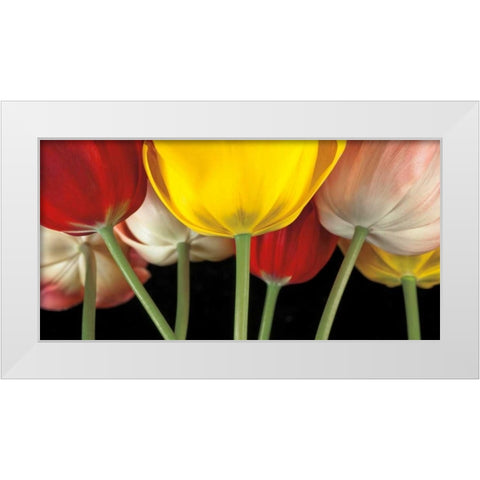 Sunshine Tulips White Modern Wood Framed Art Print by Frank, Assaf