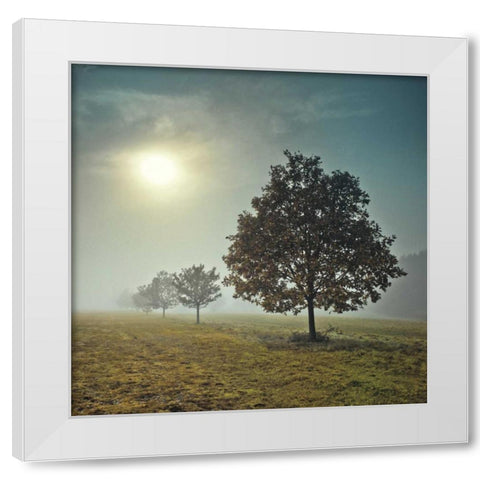 Its a New Day White Modern Wood Framed Art Print by Frank, Assaf