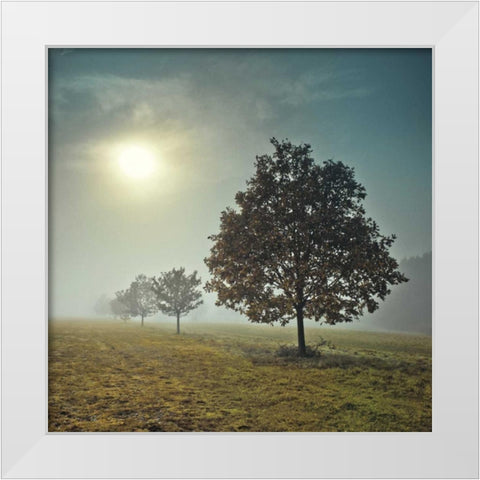 Its a New Day White Modern Wood Framed Art Print by Frank, Assaf