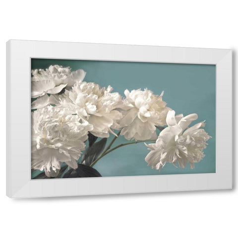 Snow White White Modern Wood Framed Art Print by Frank, Assaf