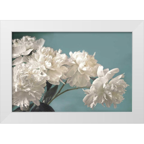 Snow White White Modern Wood Framed Art Print by Frank, Assaf