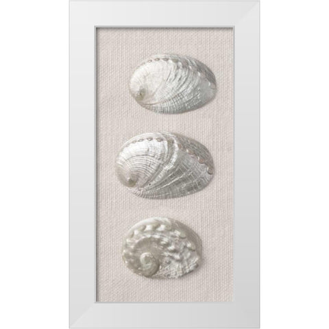 Opalescent I White Modern Wood Framed Art Print by Frank, Assaf