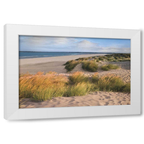 Sandy Shores White Modern Wood Framed Art Print by Frank, Assaf