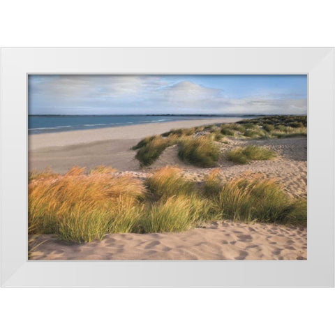 Sandy Shores White Modern Wood Framed Art Print by Frank, Assaf