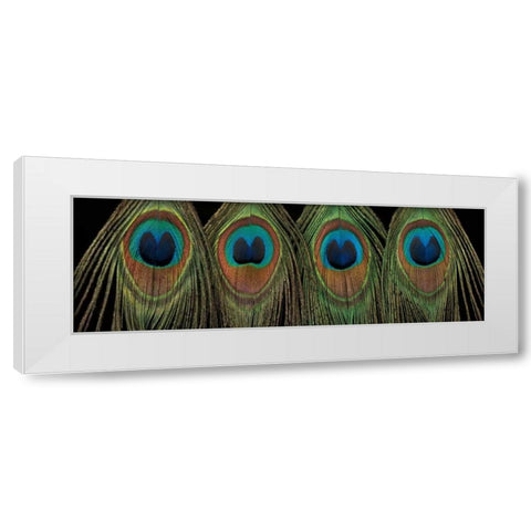 Royal Show White Modern Wood Framed Art Print by Frank, Assaf