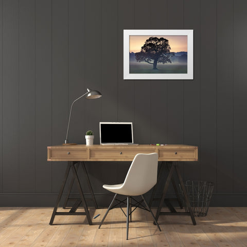 Evening Wisdom White Modern Wood Framed Art Print by Frank, Assaf