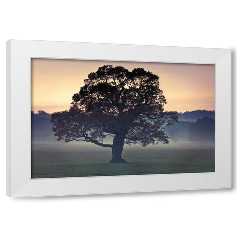 Evening Wisdom White Modern Wood Framed Art Print by Frank, Assaf