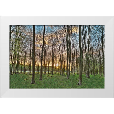 Secret Sunset White Modern Wood Framed Art Print by Frank, Assaf