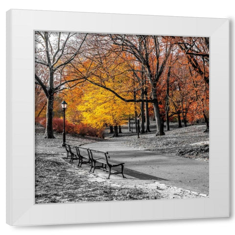 Park Pretty I White Modern Wood Framed Art Print by Frank, Assaf