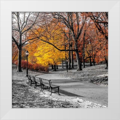 Park Pretty I White Modern Wood Framed Art Print by Frank, Assaf