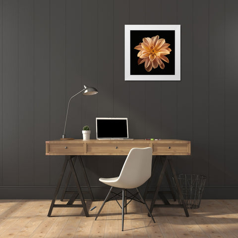 Four Keeps II White Modern Wood Framed Art Print by Frank, Assaf