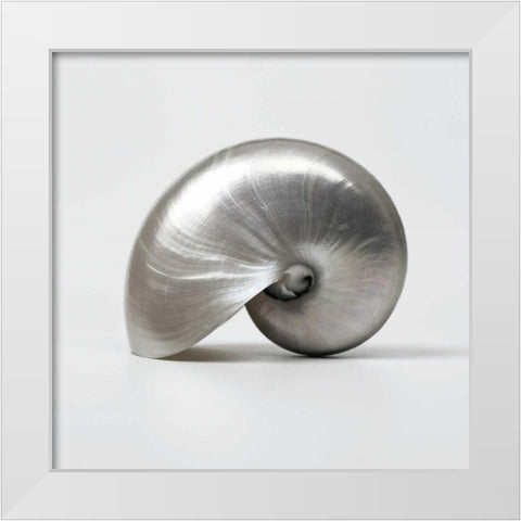 Beachside Treasure I White Modern Wood Framed Art Print by Frank, Assaf