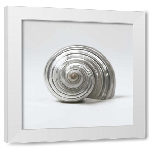 Beachside Treasure II White Modern Wood Framed Art Print by Frank, Assaf