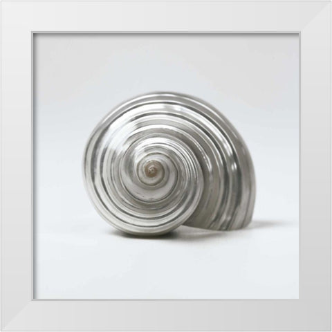 Beachside Treasure II White Modern Wood Framed Art Print by Frank, Assaf