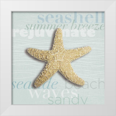 Beach Collection II White Modern Wood Framed Art Print by Venter, Tandi