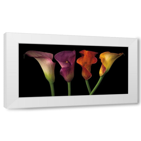 Jewel Calla Lilies White Modern Wood Framed Art Print by Frank, Assaf