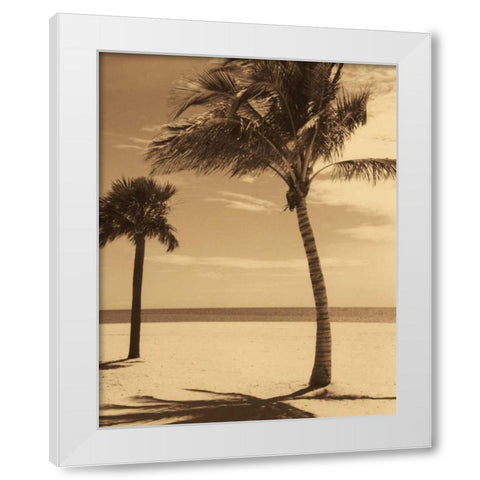 Palm Beach I White Modern Wood Framed Art Print by Kelly, Dennis