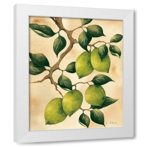 Italian Harvest - Limes White Modern Wood Framed Art Print by Allison, Doris