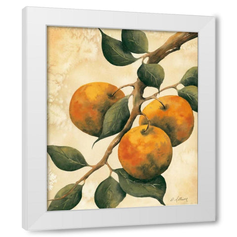 Italian Harvest - Oranges White Modern Wood Framed Art Print by Allison, Doris