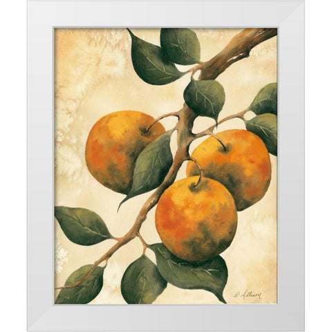 Italian Harvest - Oranges White Modern Wood Framed Art Print by Allison, Doris