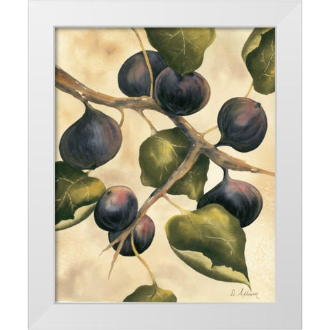 Italian Harvest - Figs White Modern Wood Framed Art Print by Allison, Doris