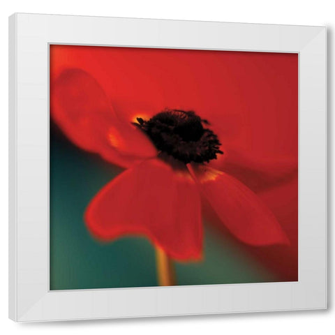 Red on Turquoise White Modern Wood Framed Art Print by Butler, Jane-Ann