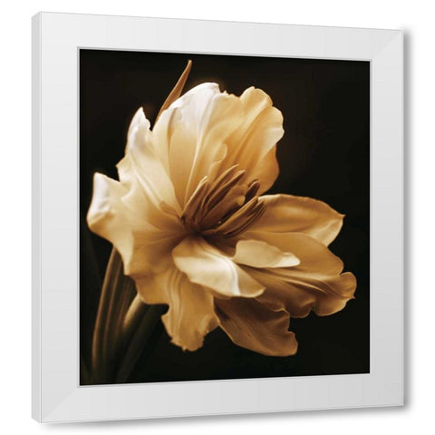 Timeless Grace I White Modern Wood Framed Art Print by Britt, Charles