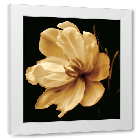 Timeless Grace III White Modern Wood Framed Art Print by Britt, Charles